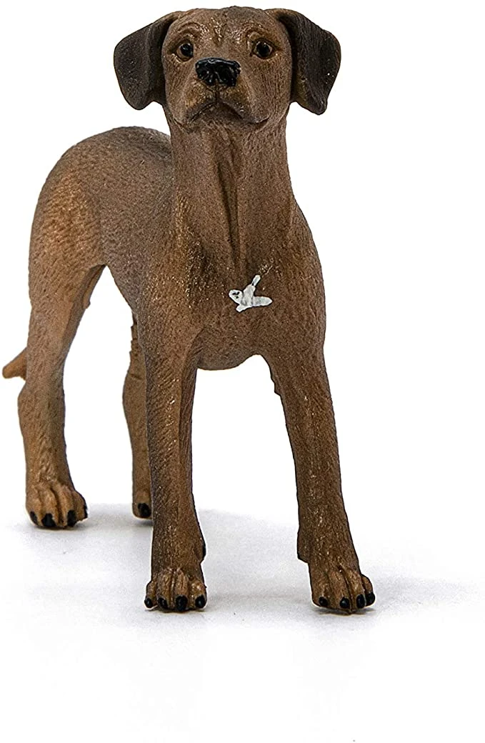Schleich 13895 Leeuwhond FarmWorld 2 Schleich 13895 Leeuwhond FarmWorld - Afbeelding 2